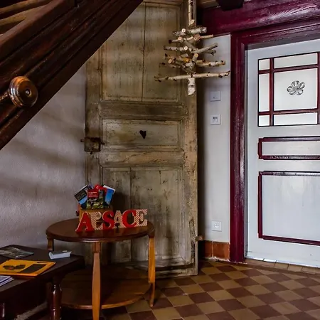 Gite Les Sabots De Paille, Alsace Haut-Rhin Ballesdorf Exterior foto